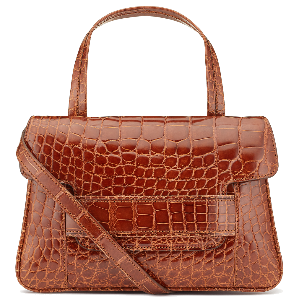 Aria Alligator crossbody top handle handbag