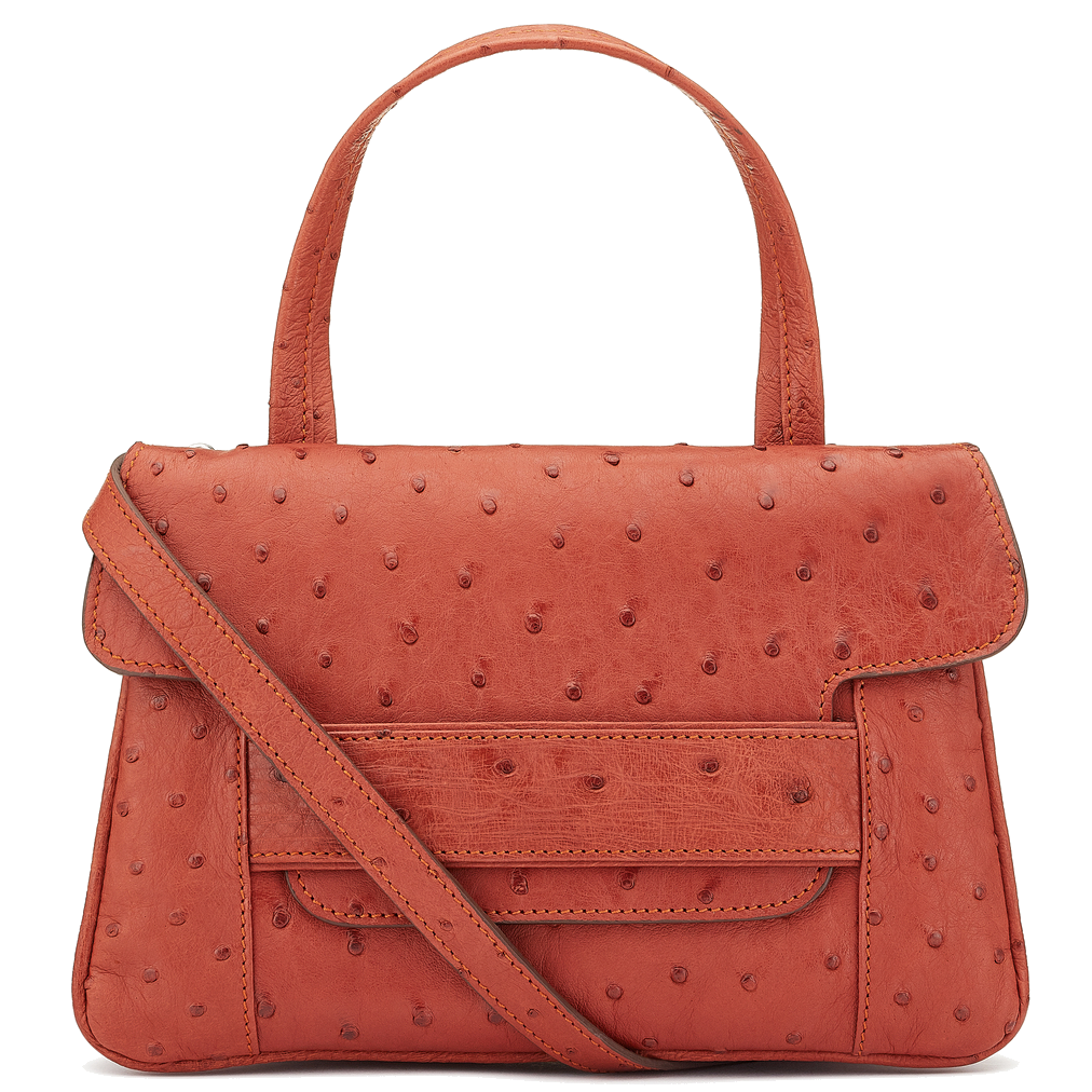 Aria terracotta Ostrich crossbody top handle handbag